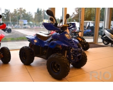 Sport Energy Phoenix 110