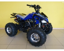 Sport Energy F-1 125