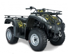 Jianshe 250ATV-5 Wild Cat