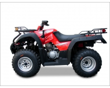 JIANSHE JS250ATV-5 WILD CAT