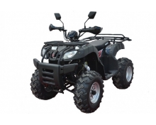 Bashan BS200AU-11 MAX