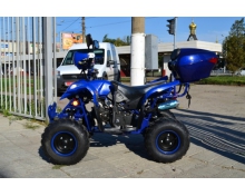 Sport Energy Fox 110