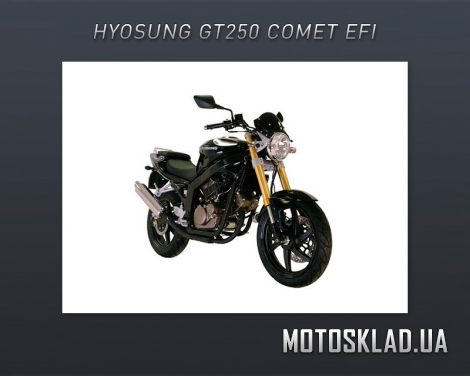 Купит Hyosung GT250  EFi  Украина Киев хусунг жт 250  хуйсонг GT 250  Описание 