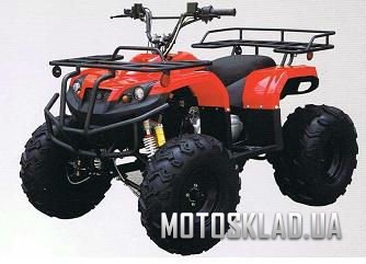 Comman ATV 150cc ― Интернет-магазин мототехники «MOTOsklad.UA»