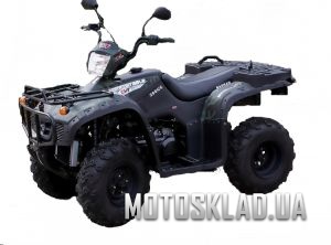  BASHAN ATV BS250S-24 ― Интернет-магазин мототехники «MOTOsklad.UA»