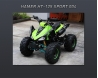 Hamer HT-125 Sport 004