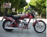 Viper Harley 50 new