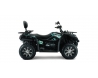 CFMOTO CFORCE 450 MAX EPS